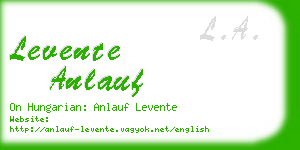 levente anlauf business card